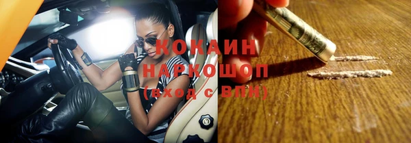 гашик Ладушкин