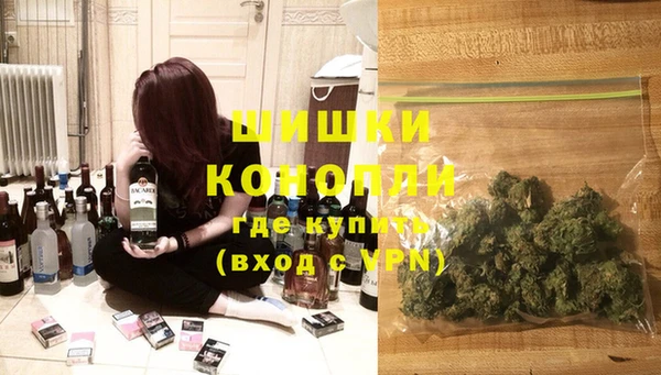 гашик Ладушкин