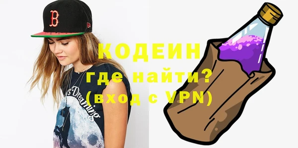 гашик Ладушкин
