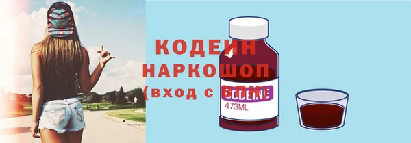 гашик Ладушкин
