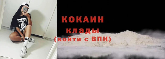 гашик Ладушкин