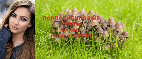гашишное масло Лагань