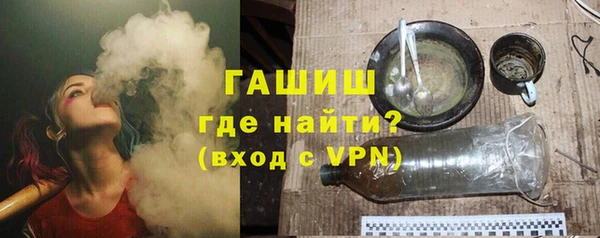 гашик Ладушкин