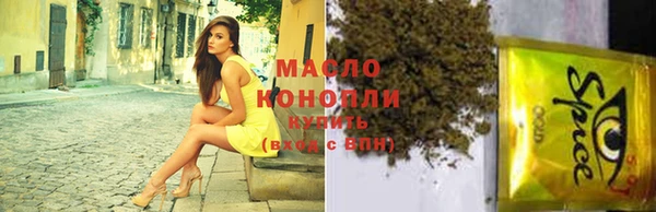 гашик Ладушкин